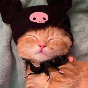 Meet your Posher, Pheadra-lynn